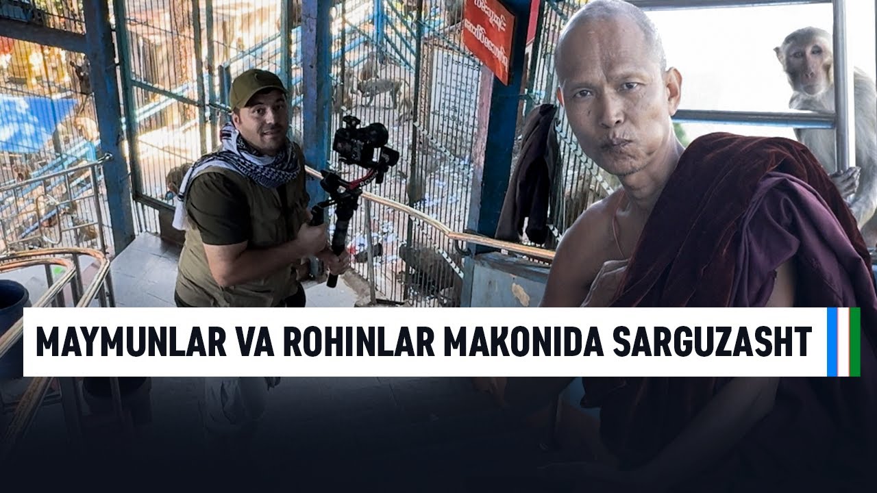 Maymunlar va Rohinlar Makonida Sarguzasht