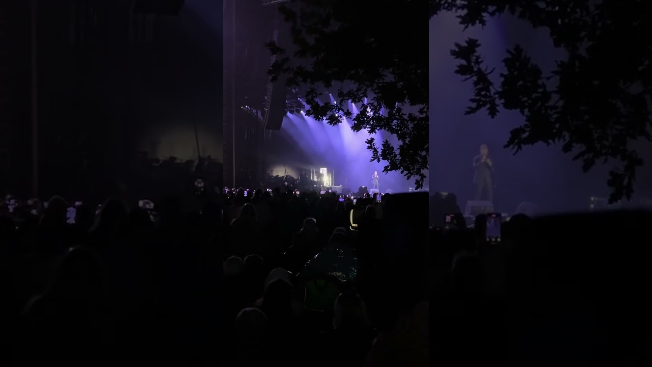 Michael Buble Performs Feeling Good Live