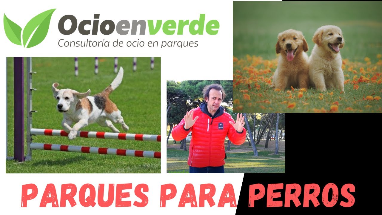 Parques para perros en parques urbanos