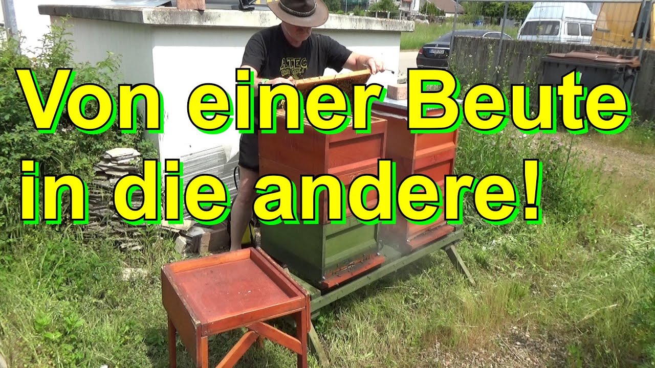Von einer #Beute in die andere!