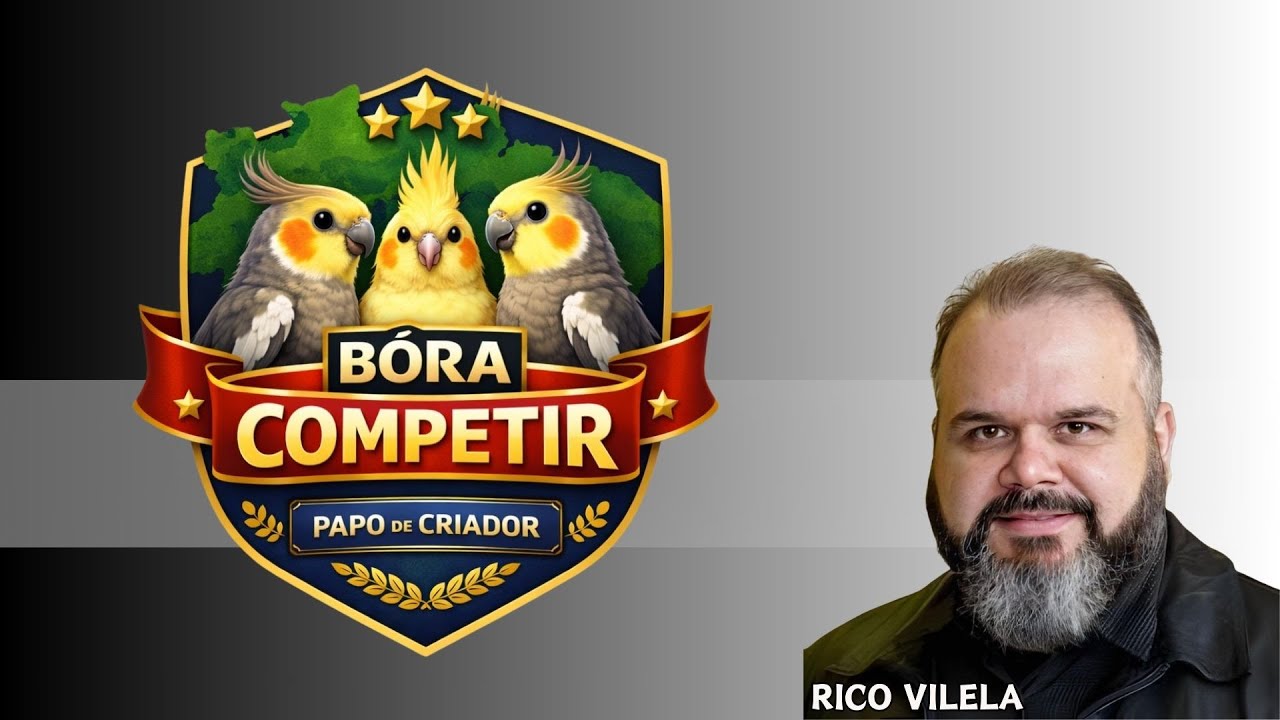 PAPO DE CRIADOR - BORA COMPETIR! - RICO VILELA 📱