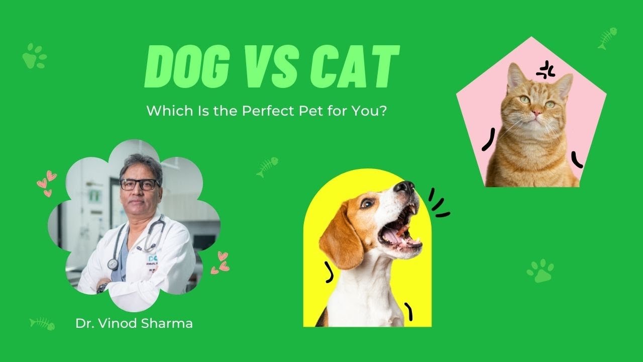 Dog vs. Cat: First-Time Pet Parenting Dilemma?: Dr. Vinod Sharma