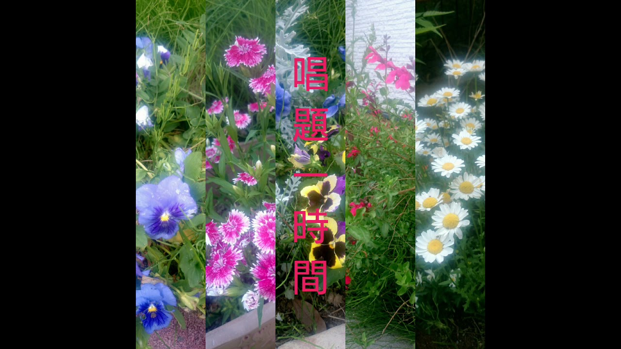 池田先生と共に、生命を護るdaimoku唱題60分～3000遍    南無妙法蓮華経　　　　Ikeda Sensei with chanting Nam-myo-ho-ren-ge-kyo