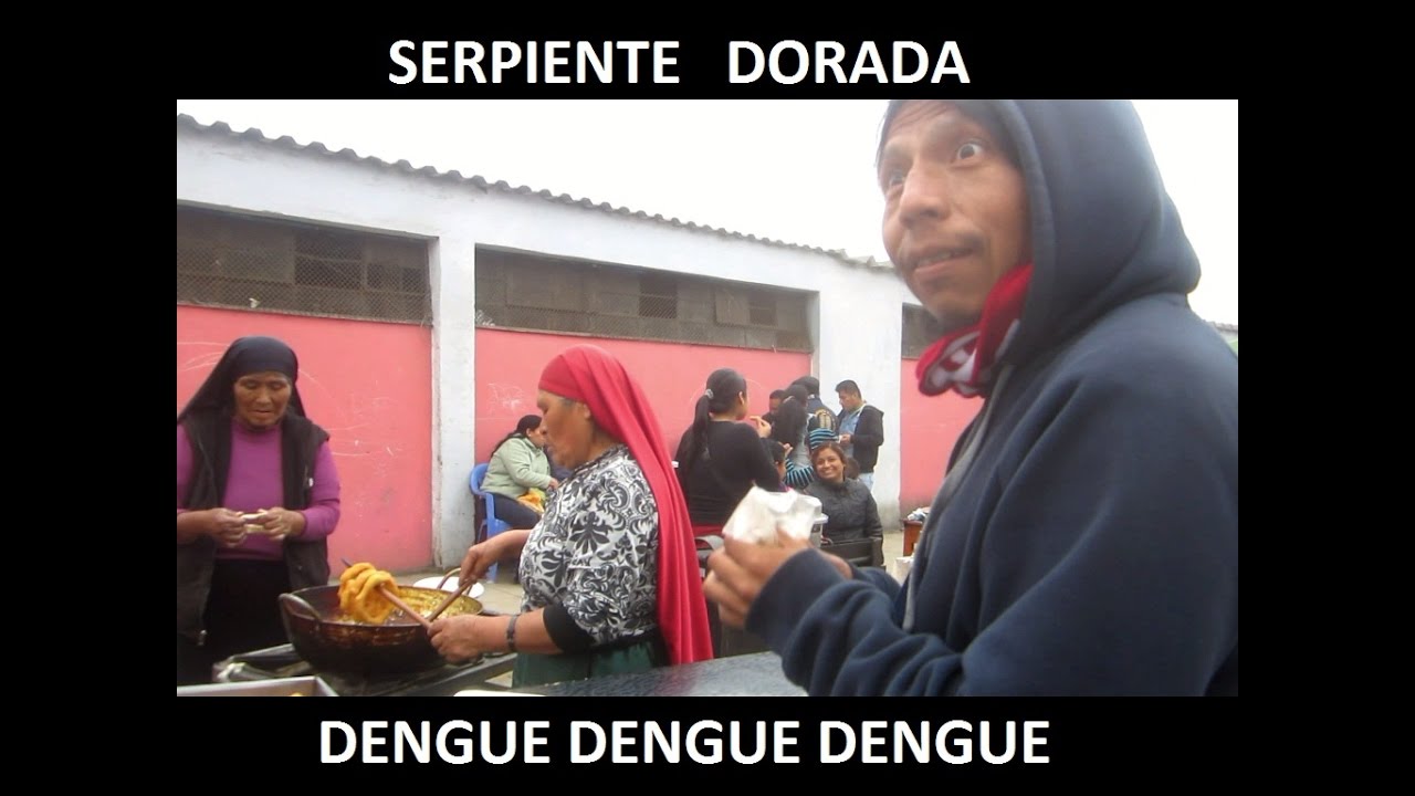 SERPIENTE DORADA °DENGUE DENGUE DENGUE°