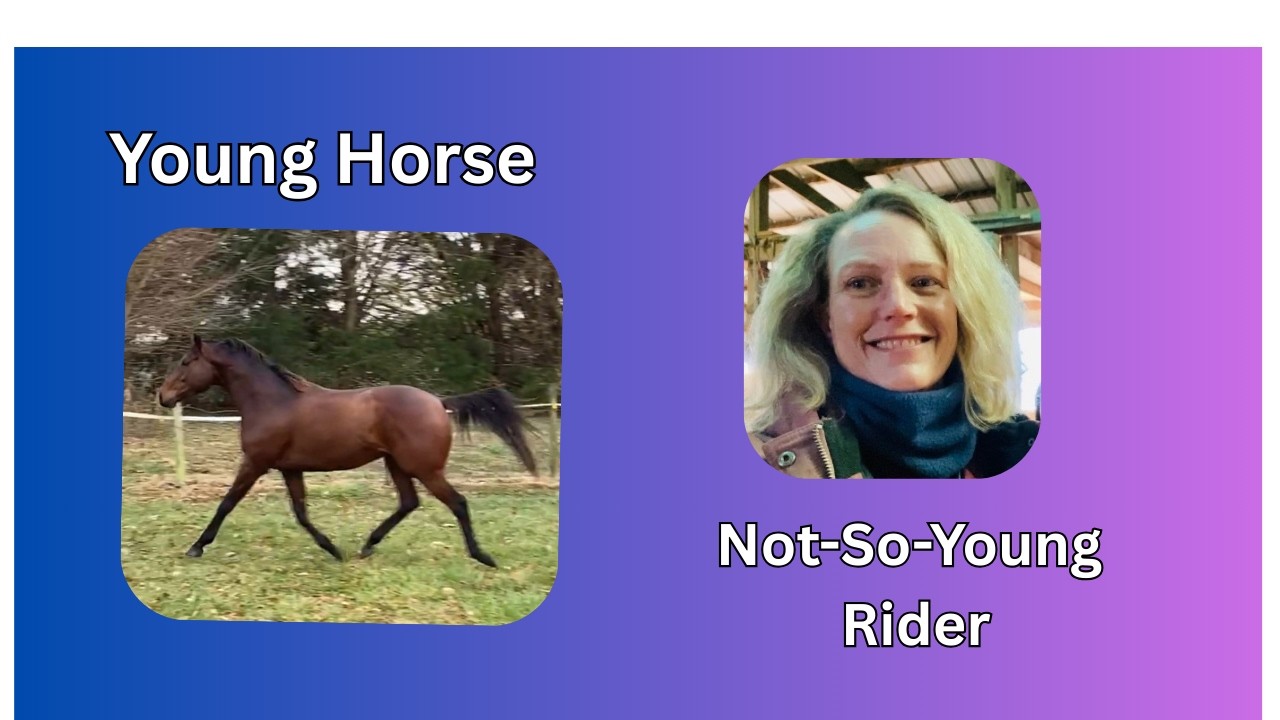 The Reality Of Being An Adult Rider: Balancing Work, Life And Horses