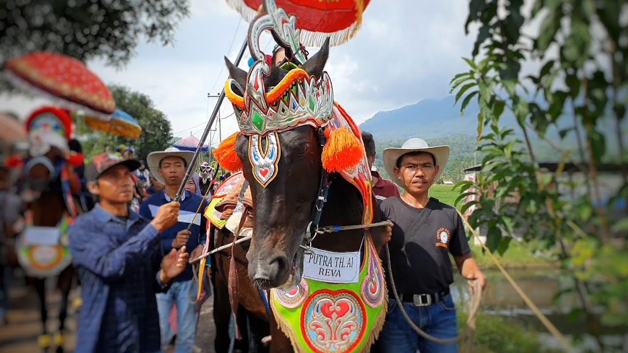 Kuda renggong reva tampil tanpa ragu