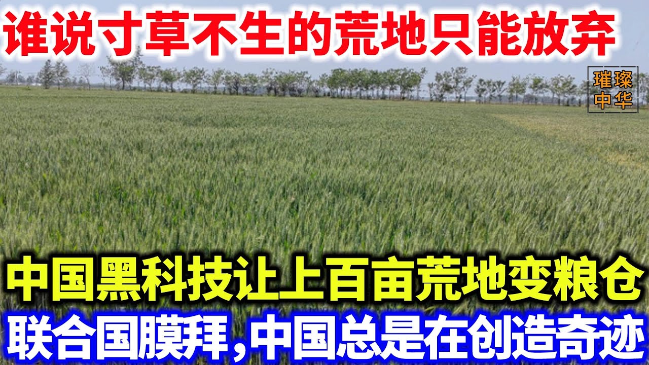 谁说寸草不生的荒地只能放弃？中国黑科技让上百亩荒地变粮仓，联合国膜拜，中国总是在创造奇迹#科技 #种植 #农业