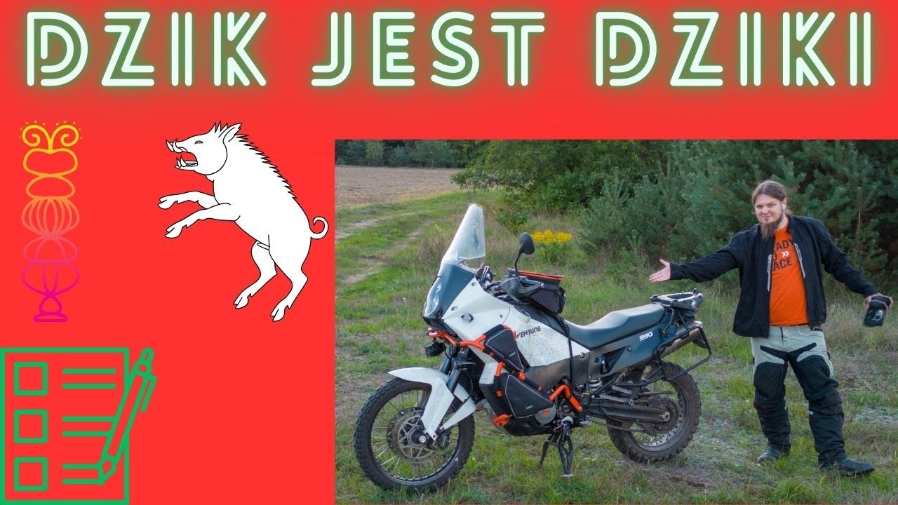 KTM 990 Adventure LC8 To najdzikszy z dzik&oacute;w dzik vel Totem #testujemy