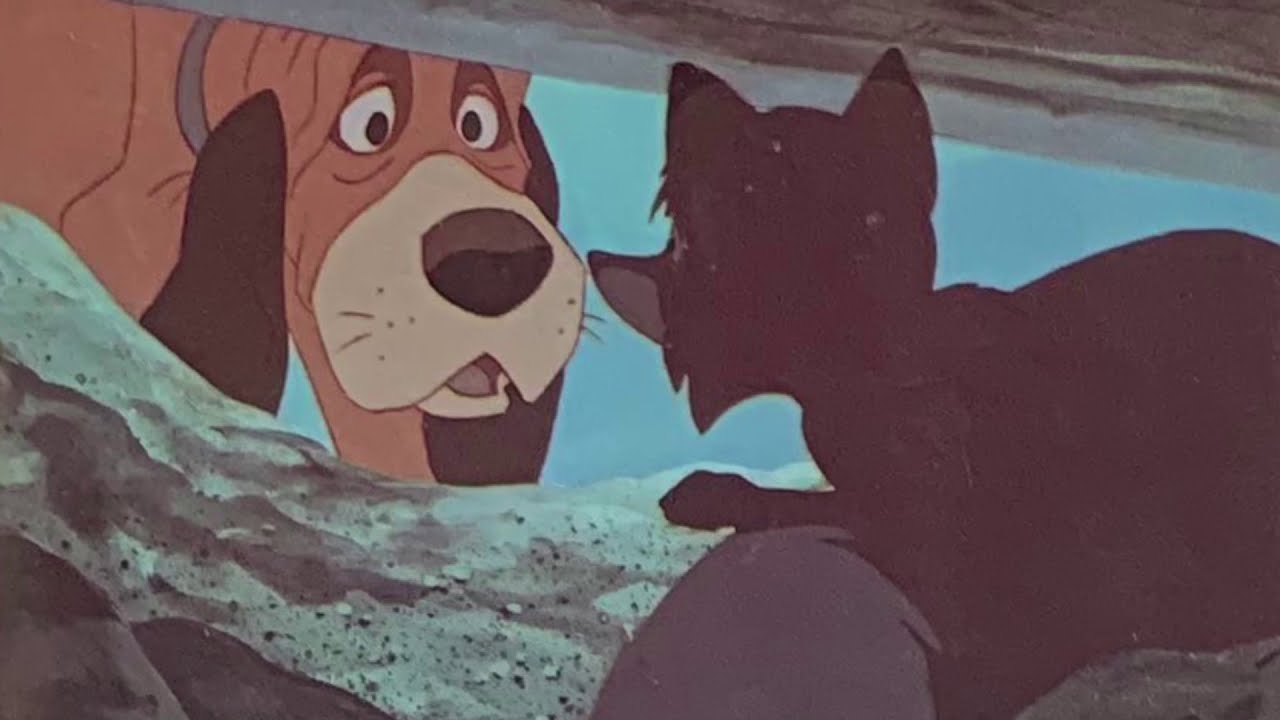 The Fox and the Hound a Walt Disney read along book record