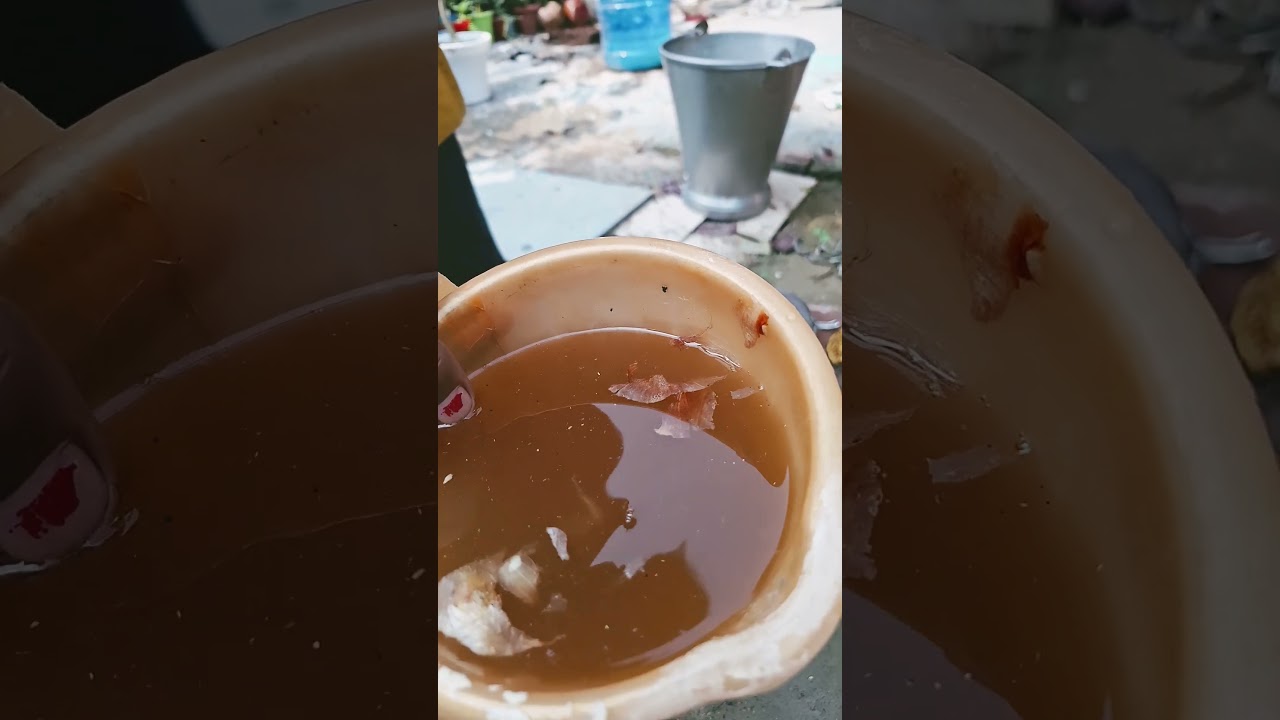 🌱प्याज के छिलके से बनाएं Best जैविक खाद🪴Onion Peel Fertilizer for plants🌹 