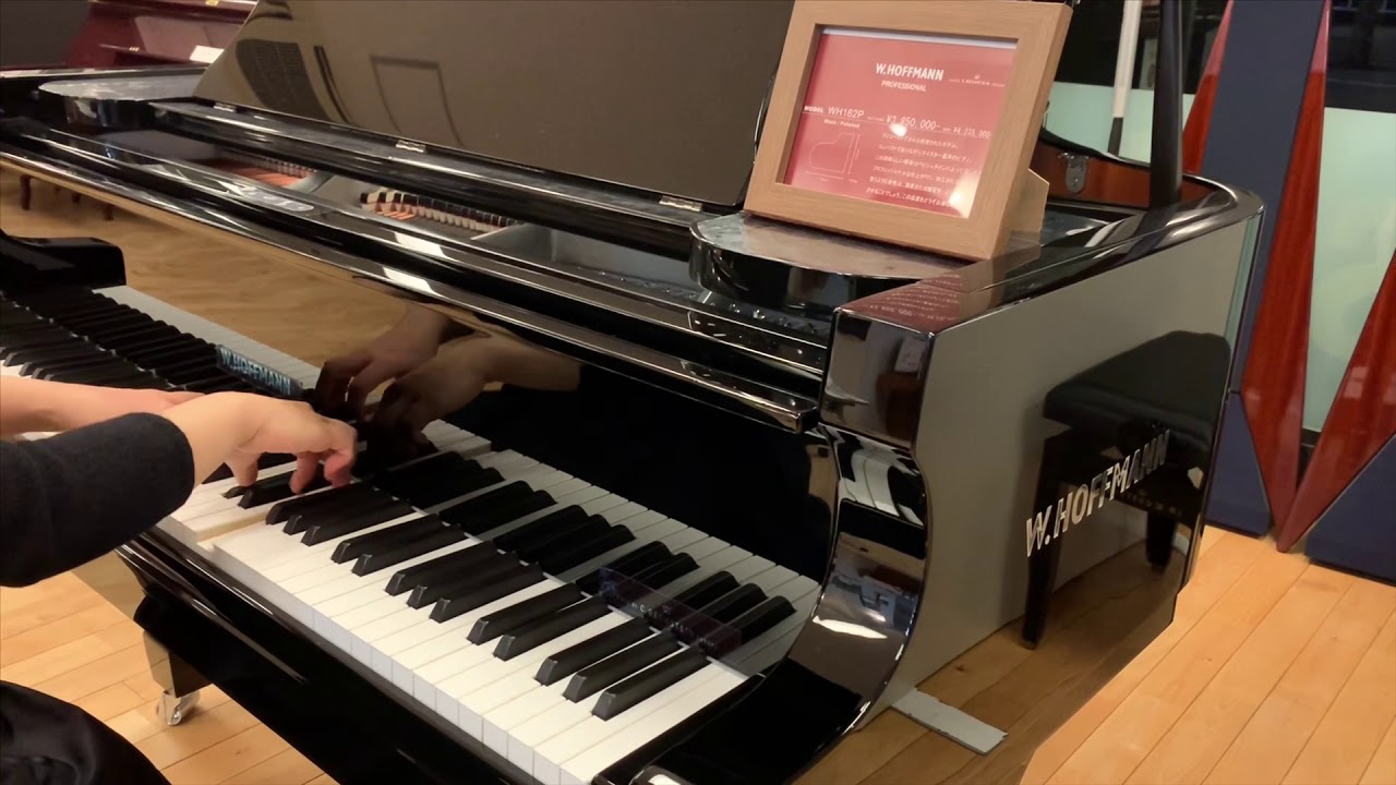 W.HOFFMANN 162P  ドビュッシー:月の光
