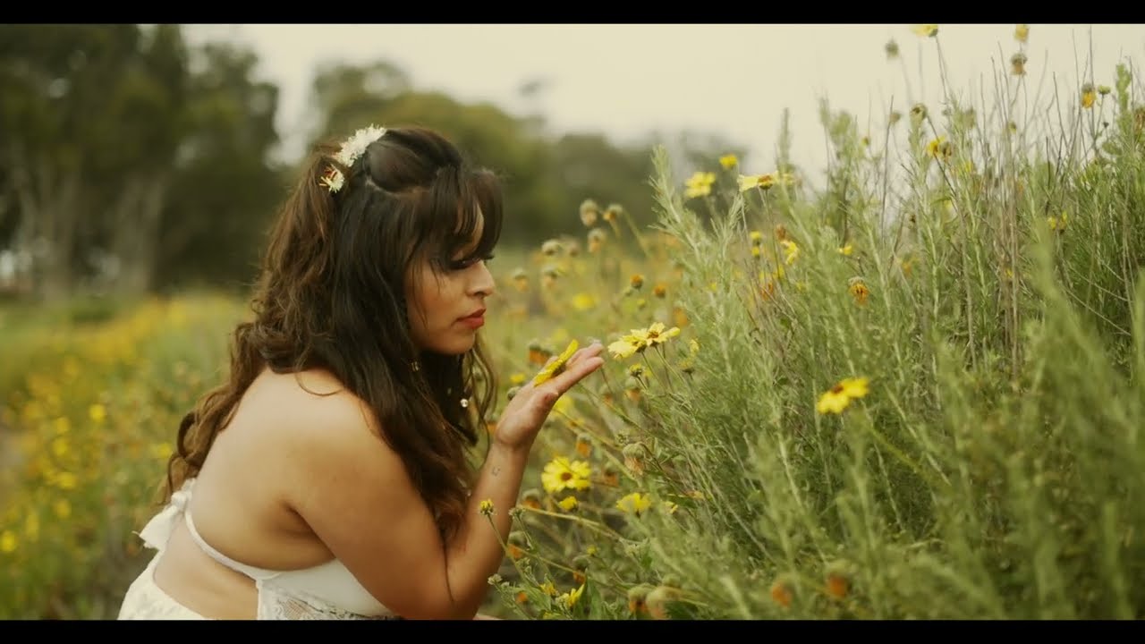 OZELLA - MOTIONS