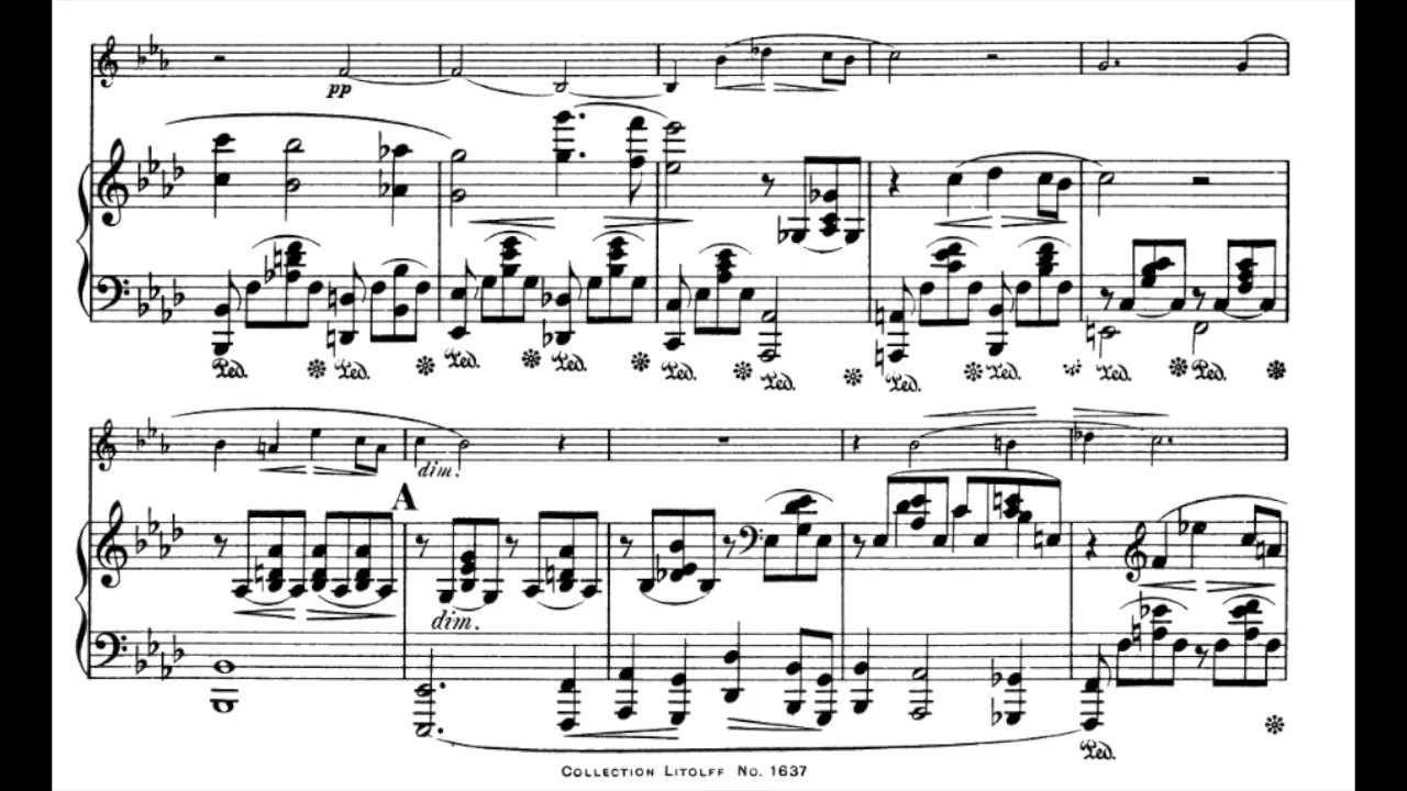 Schumann - Adagio & Allegro (piano accompaniment)