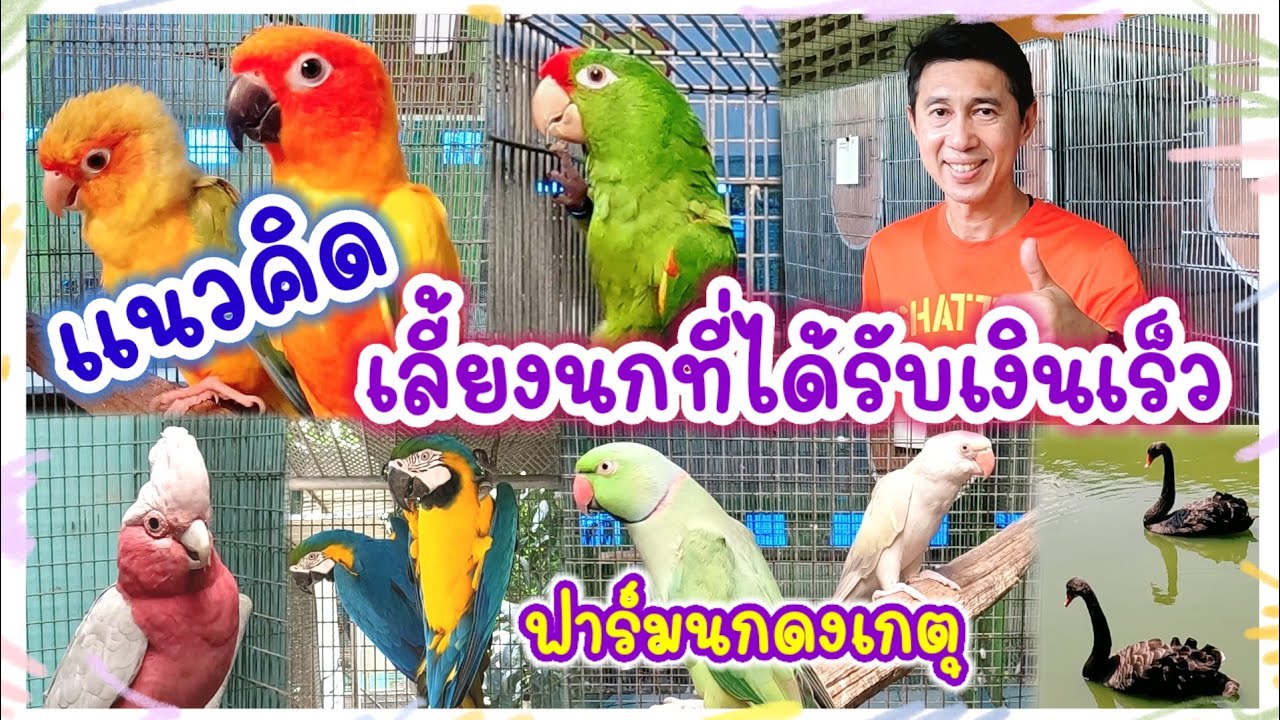 แนวคิด 