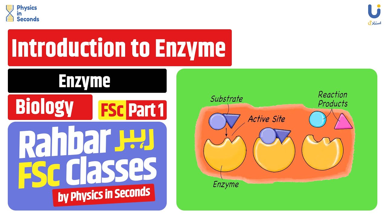 Biology - Introduction to Enzyme - FSc Part I