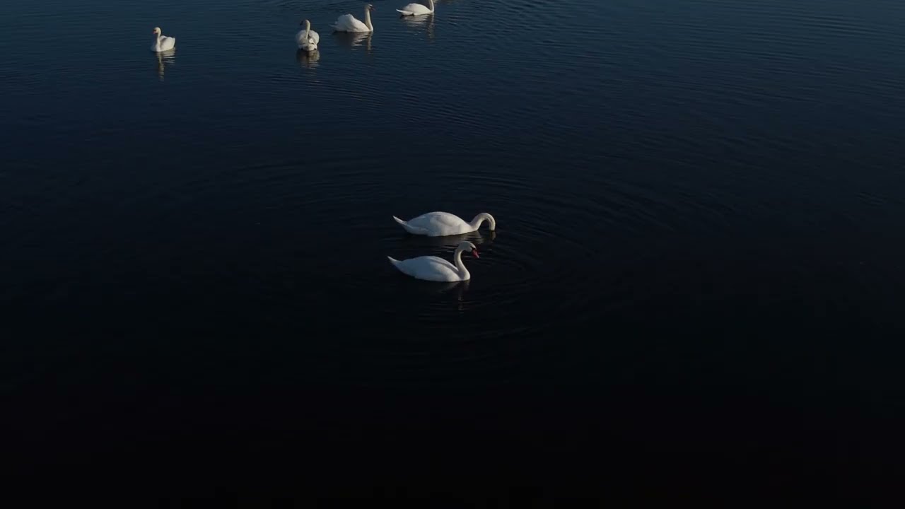 Polska|Podlasie|Wizna|4K