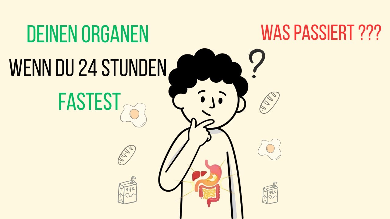 Was passiert mit deinen Organen, wenn du 24 Stunden fastest? (Wissenschaftlich erkl&auml;rt)