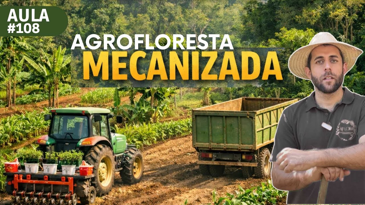 🚜🌳 Agrofloresta mecanizada: dá pra unir máquina e regeneração?