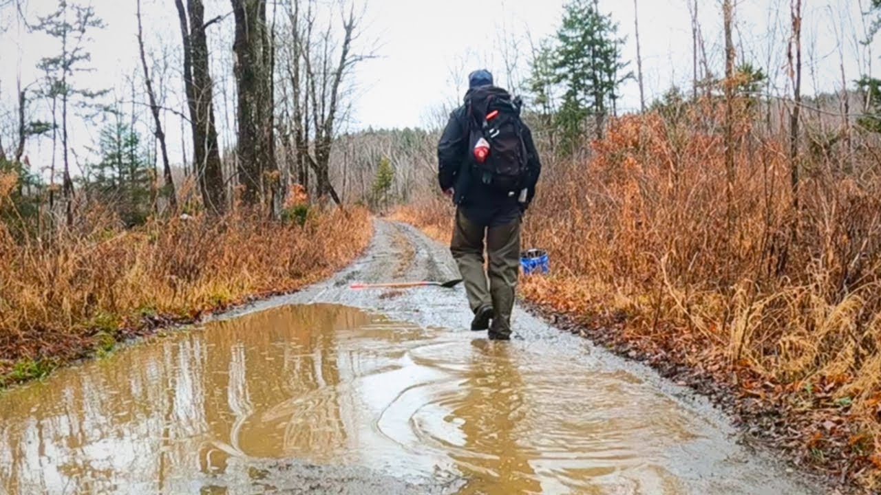 Minimal Prospecting-Hiking up a Glacial Drainage Brook In Vermont