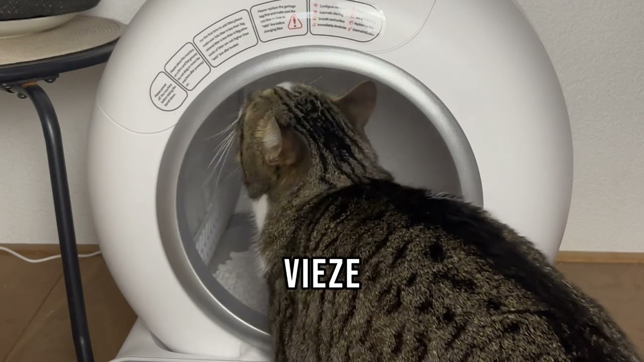 Viervoeter zelfreinigende kattenbak 2024 model