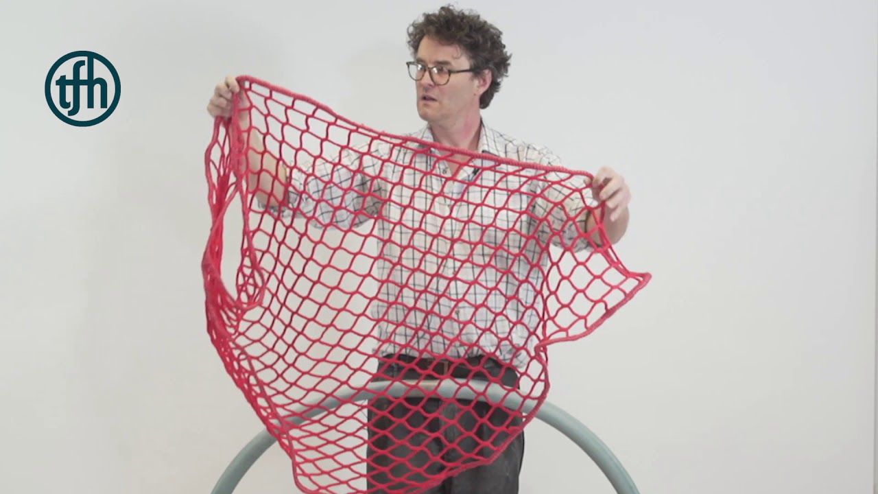TFH Nest Swing