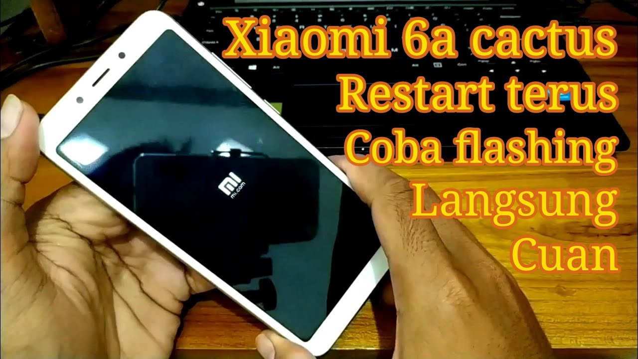 Cara Flashing Xiaomi Redmi 6a Cactus Restart Terus