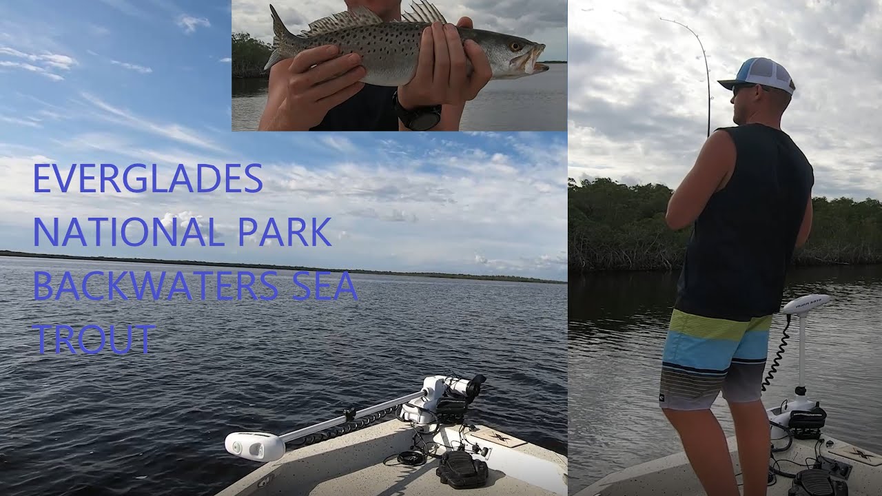 Sea Trout Catch and Cook - The Wilderness Waterway in Everglades National Park Backwaters