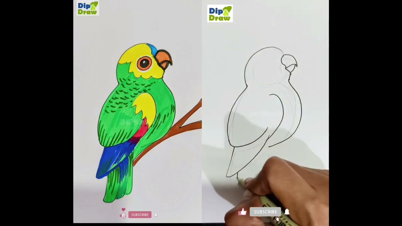 Detailed video of Drawing lovebirds #lovebirds #birds #draw birds #easydrawing #drawingtutorial 