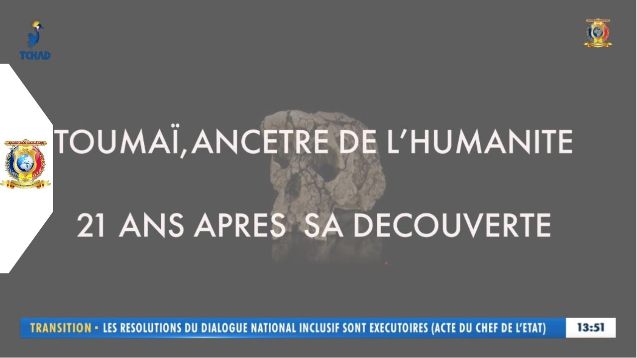 TOUMA&Iuml;, ANC&Ecirc;TRE DE L'HUMANIT&Eacute; - 21 ANS APR&Egrave;S SA D&Eacute;COUVERTE