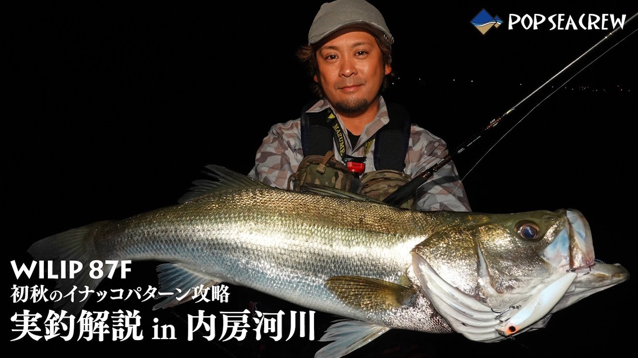 【WILIP 87F解説実釣】初秋のイナッコパターンを攻略！ ウィリップ87F 実釣解説in内房河川
