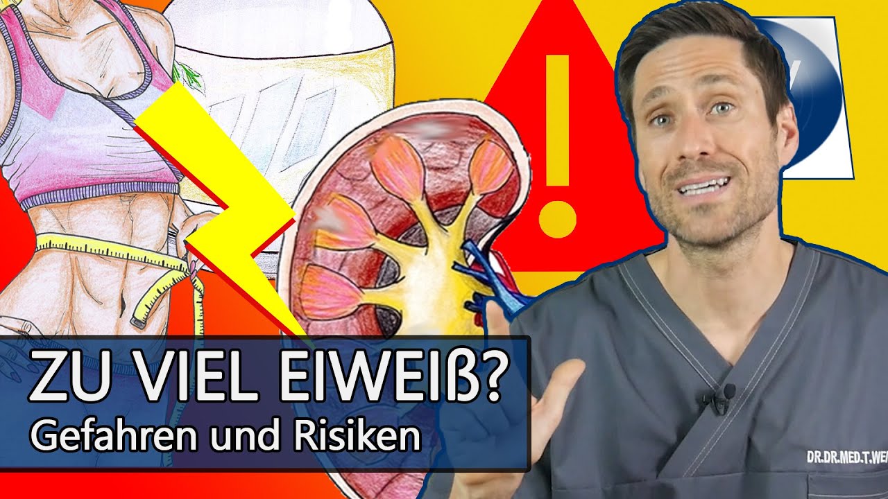 Zu viel Eiweiß: Aufgepasst! Wenn Proteinshakes & zu eiweißreiche Ernährung mehr schaden als nutzen!
