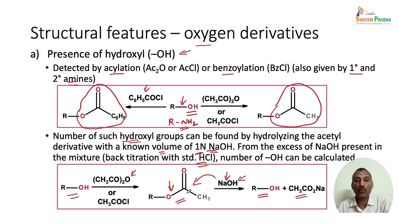Alkaloids: General Structural Features