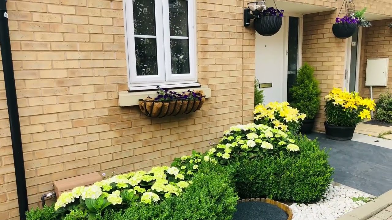 Watch This Tiny Garden Transform Into a Blooming Paradise