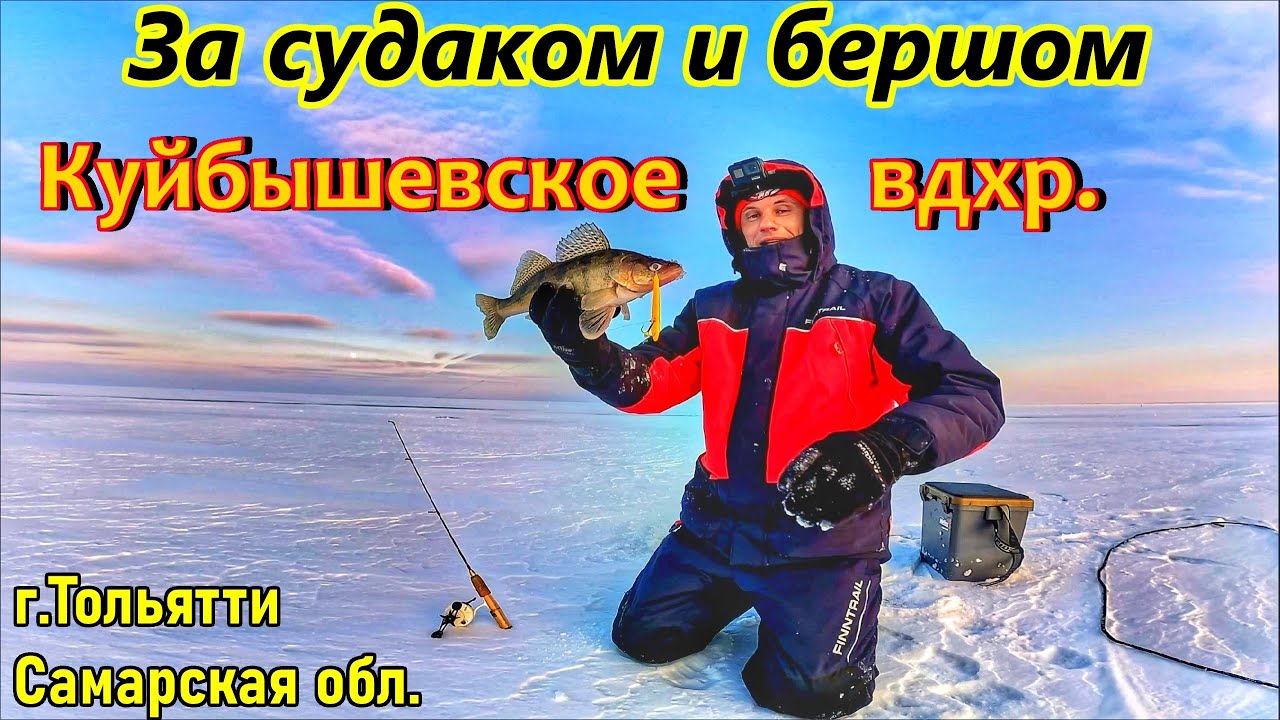 СУДАК И БЕРШ НА КУЙБЫШЕВСКОМ ВДХР/ЛОВЛЯ НА ВИБЫ/ВОЛГА