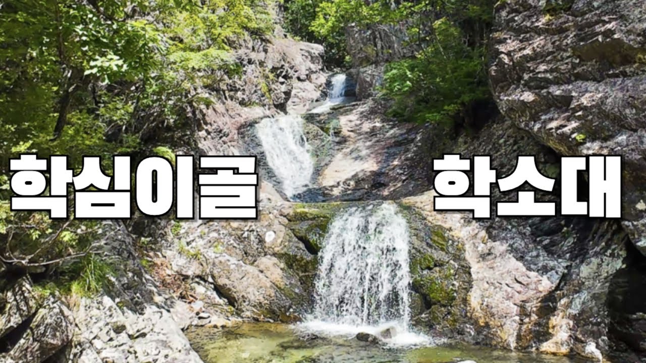 부산 근교 숨겨진 계곡  | 아무나 허락하지 않는 가지산 숨은 비경 | 학심이계곡 학소대 폭포 비룡폭포