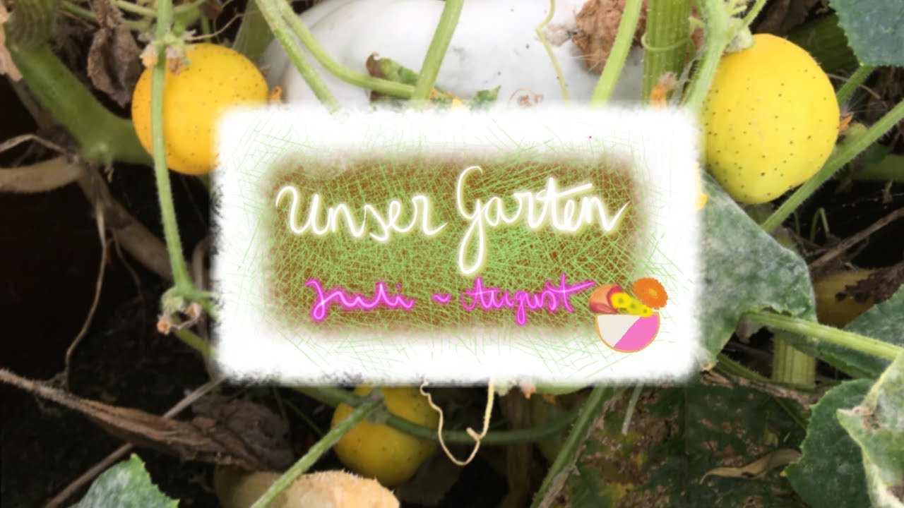 Unser Garten Juli - August