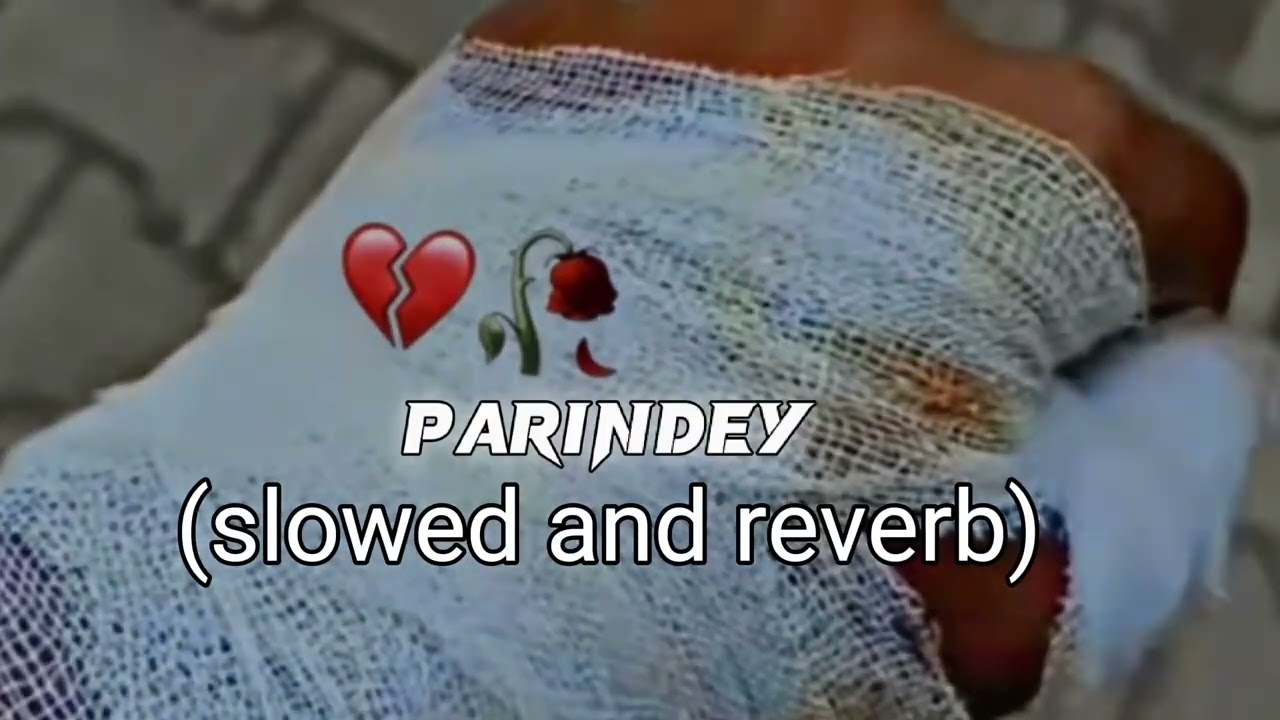 parindey  (B_praak )new song  (slowed and reverb). 