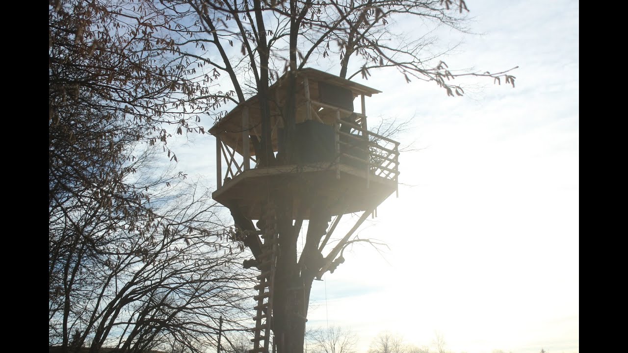 Building an Amazing Treehouse