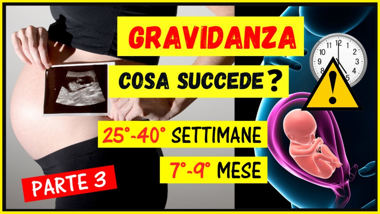 Gravidanza:cosa succede settimana per settimana, mese per mese? Cambiamenti 25-40 settimana/7-9 mese