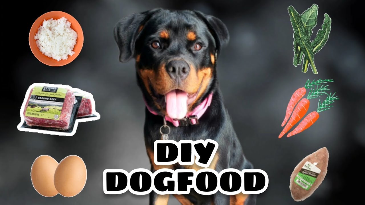 How To Make Easy DIY Homemade Dog Food