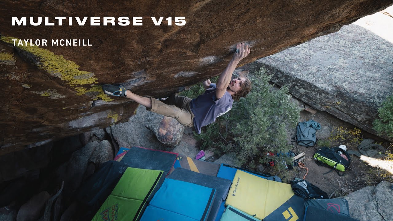 Taylor McNeill Multiverse V15/8C