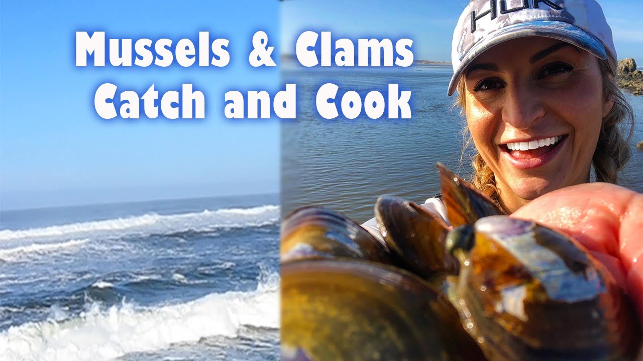 Coastal Forage Catch and Cook -  Mussels, Bay Clams and Tailgate Steamed Seafood | BAD ASH OUTDOORS
