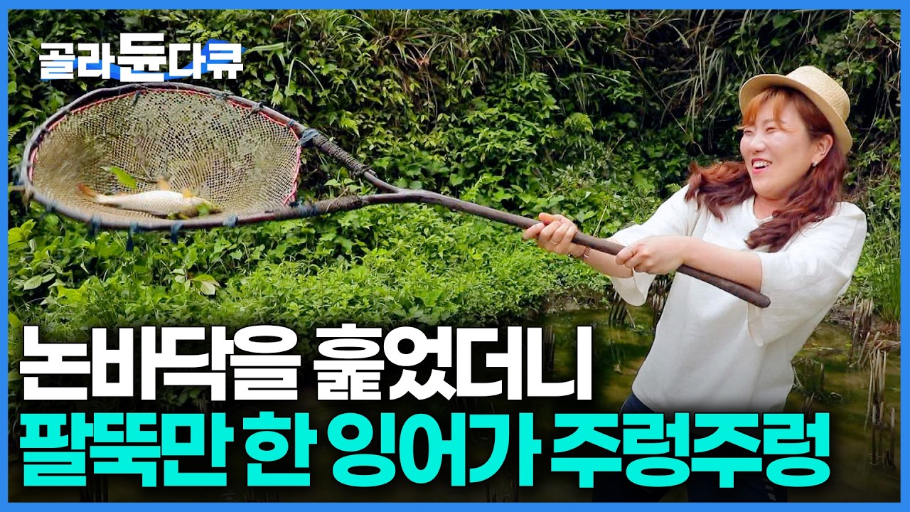 팔뚝만 한 논 잉어와 산속 죽순이 만난 신비로운 발효의 맛｜갓 잡은 생선과 죽순으로 끓여낸 역대급 매콤새콤 중국 솬탕위 먹방｜세계테마기행｜#골라듄다큐