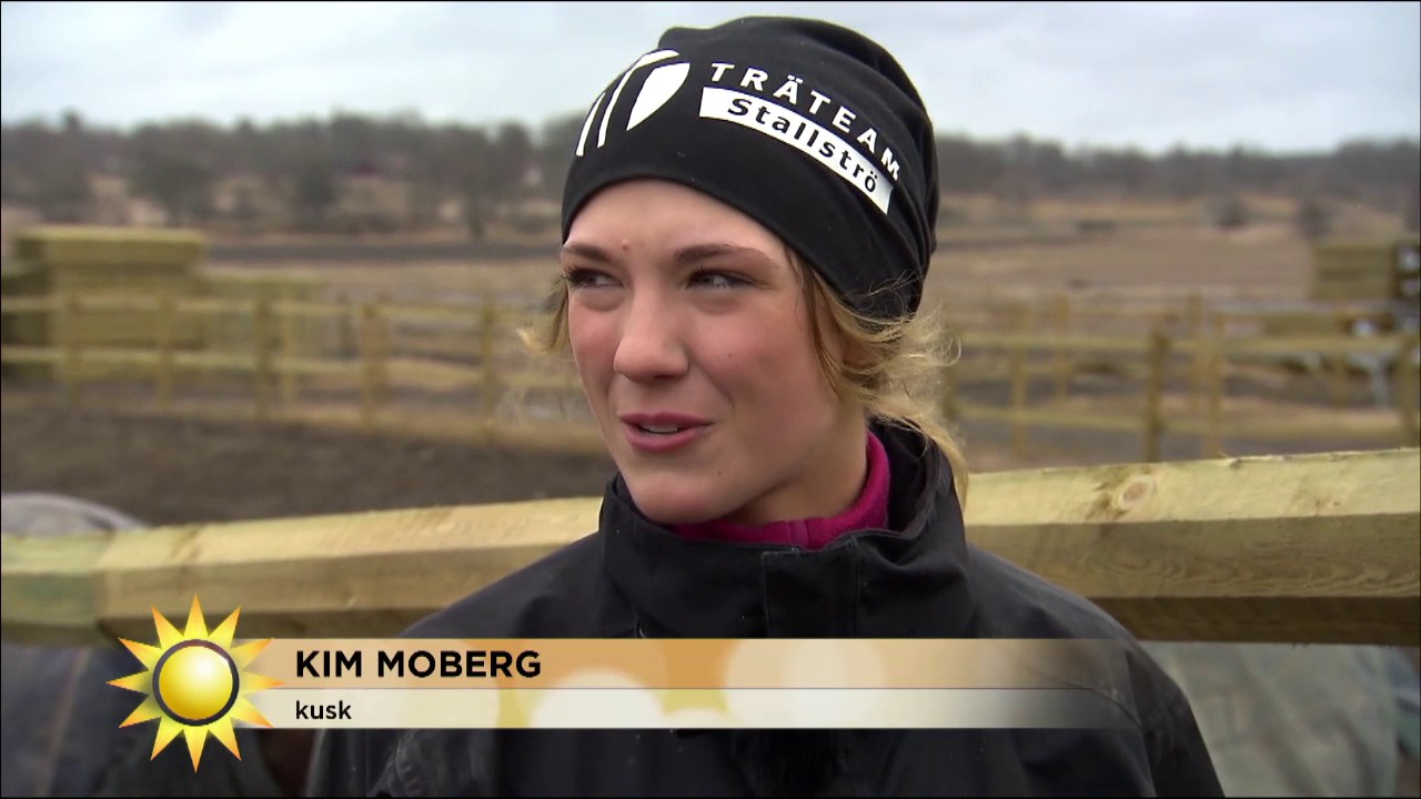 Hon är stjärnskottet inom trav - Nyhetsmorgon (TV4)