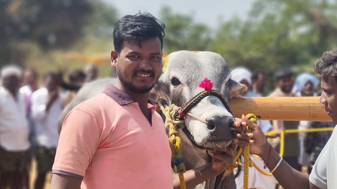 PR పల్లి  గ్రామం పాపిలి (మం) 4పళ్ళు 7వ జత  💥💥💥