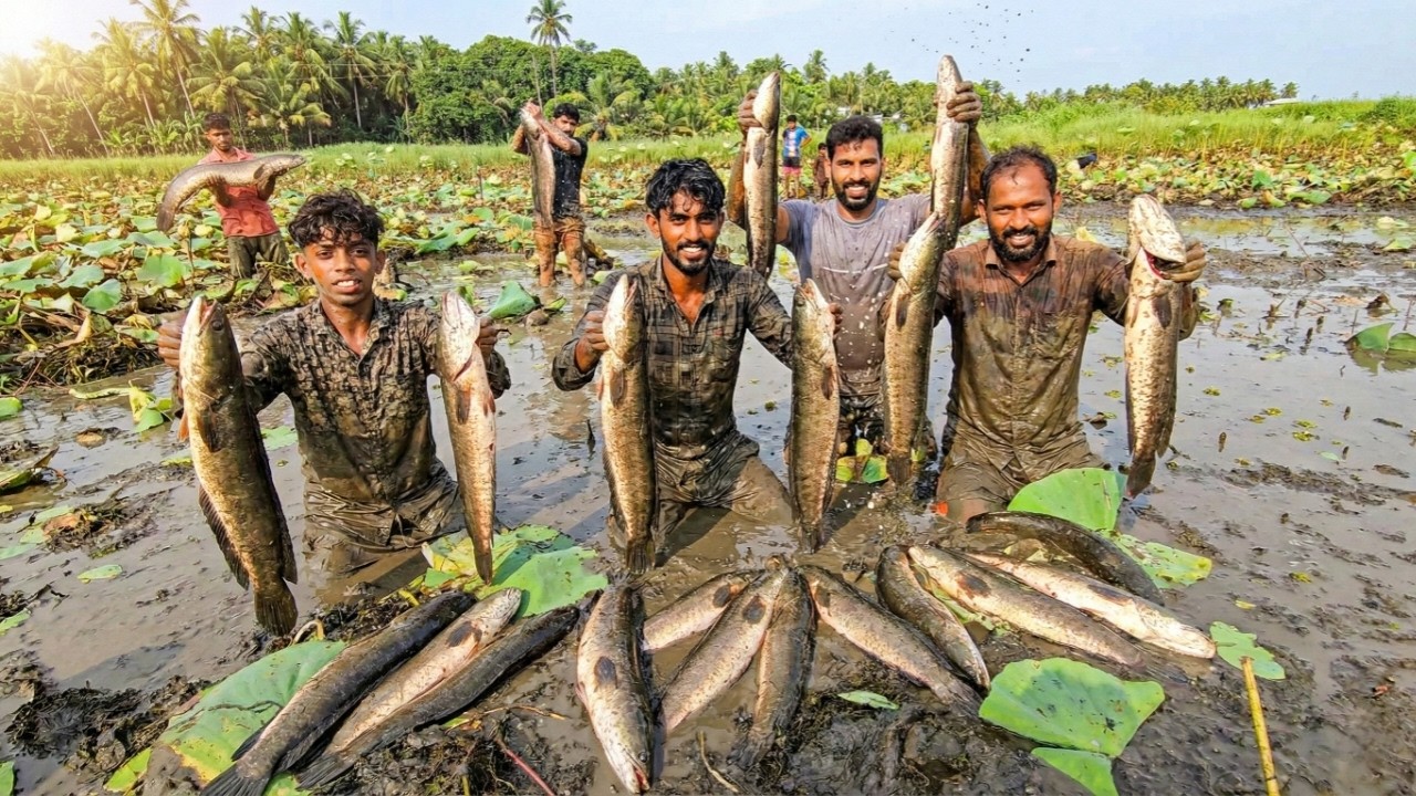 30 സെന്റിലെ ഫൈനൽ റിസൾട്ട്! 😱 Mud Fishing