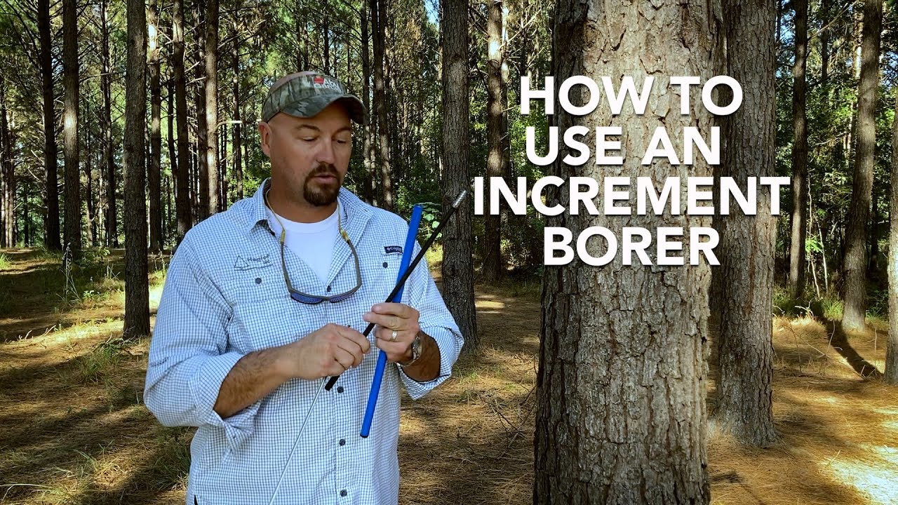 How to use a Haglöf Tree Increment Borer