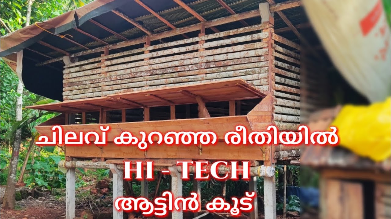 ചിലവ് കുറഞ്ഞ രീതിയിൽ നമുക്ക് തന്നെ ആട്ടിൻ🐐 കൂട് നിർമിക്കാം