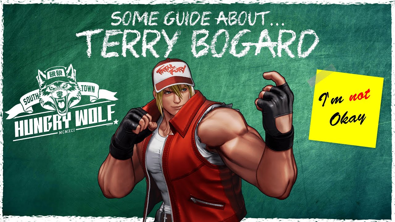 Some Guide About... Terry Bogard (A KOF Character Guide)