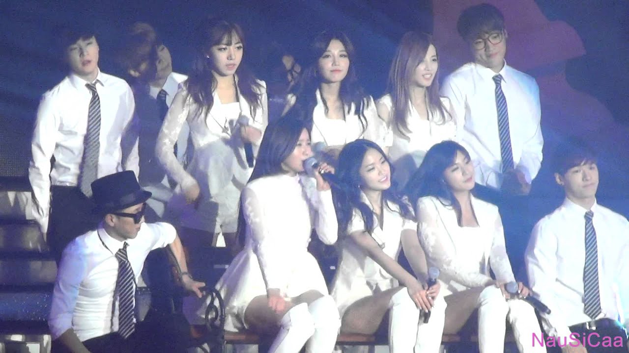 150130 에이핑크 콘서트(Pink Paradise)_워너비(Wanna Be)_직캠